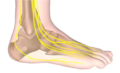 Neuro Balance Therapy program
